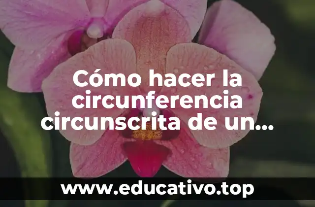 Cómo hacer la circunferencia circunscrita de un triángulo
