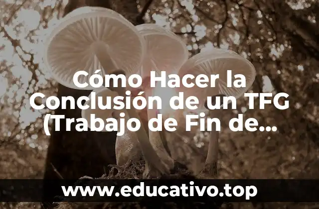 Cómo Hacer la Conclusión de un TFG (Trabajo de Fin de Grado) – Guía Detallada