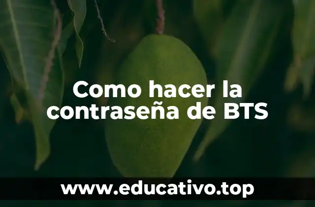 Como hacer la contraseña de BTS