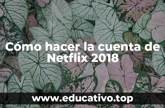 Cómo hacer la cuenta de Netflix 2018