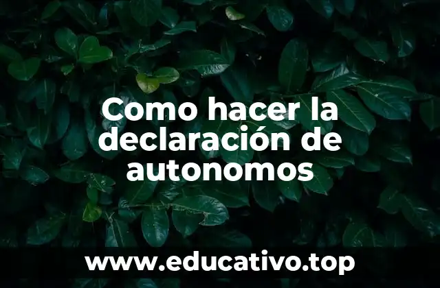 Como hacer la declaración de autonomos