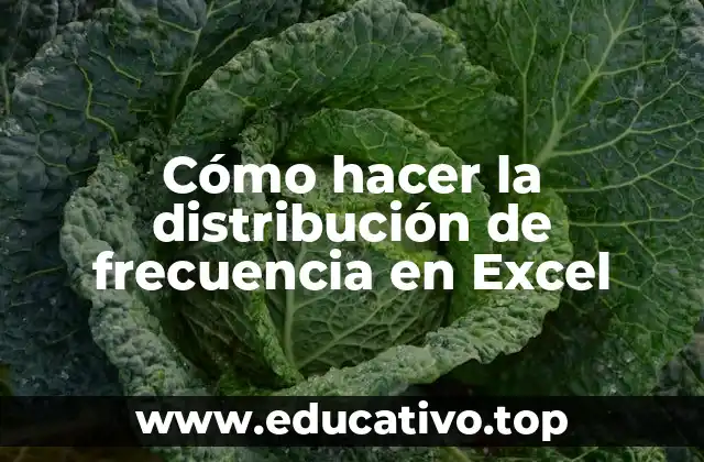 Cómo hacer la distribución de frecuencia en Excel