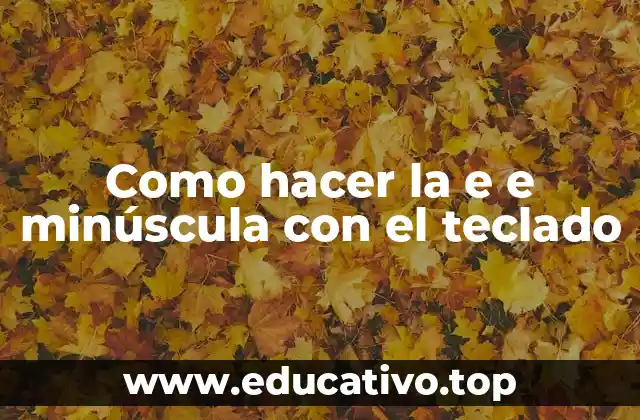 Como hacer la e e minúscula con el teclado