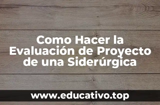 Como Hacer la Evaluación de Proyecto de una Siderúrgica