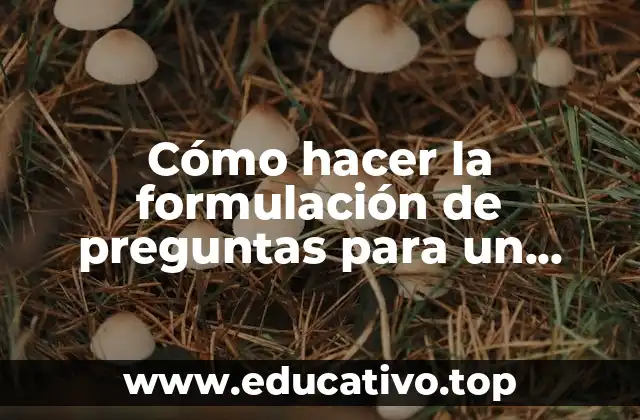 Cómo hacer la formulación de preguntas para un proyecto