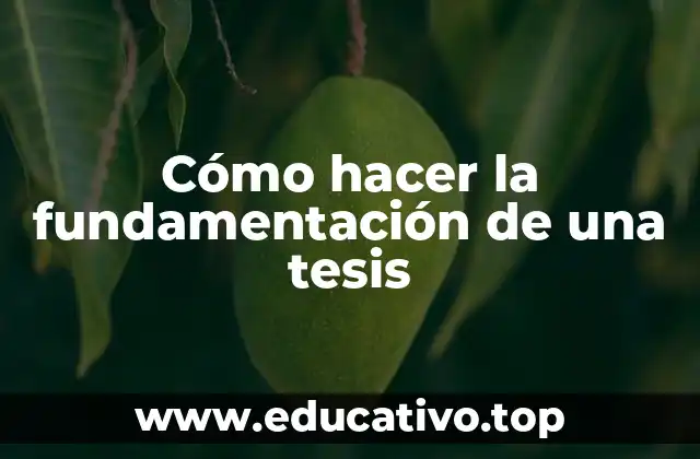 Cómo hacer la fundamentación de una tesis