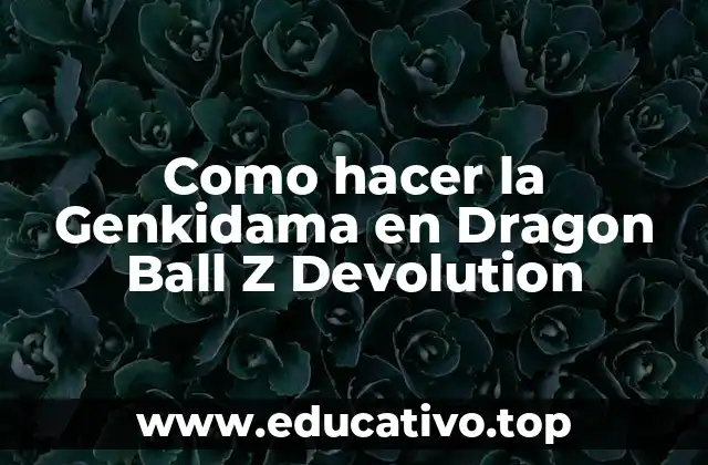 Como hacer la Genkidama en Dragon Ball Z Devolution