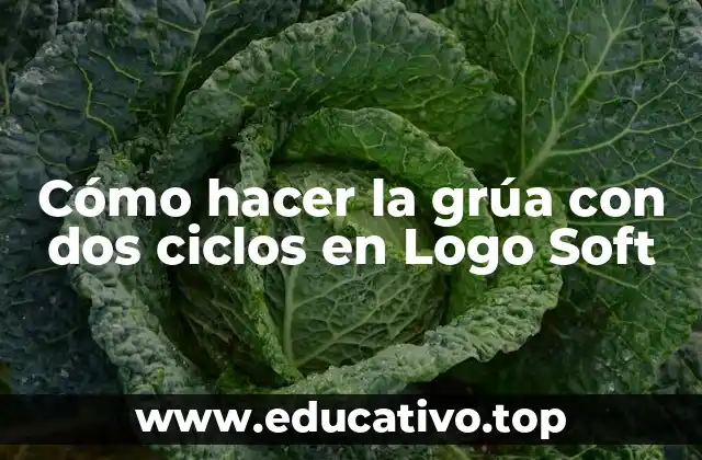 Cómo hacer la grúa con dos ciclos en Logo Soft