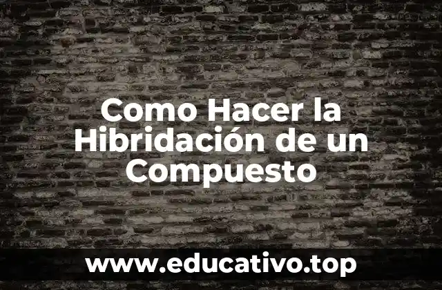 Como Hacer la Hibridación de un Compuesto