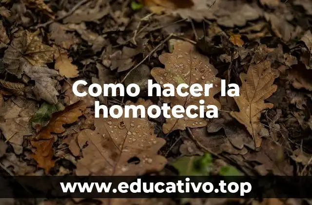 Como hacer la homotecia