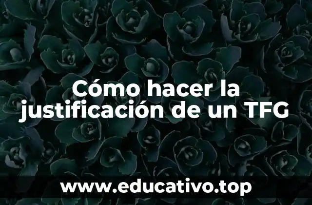 Cómo hacer la justificación de un TFG