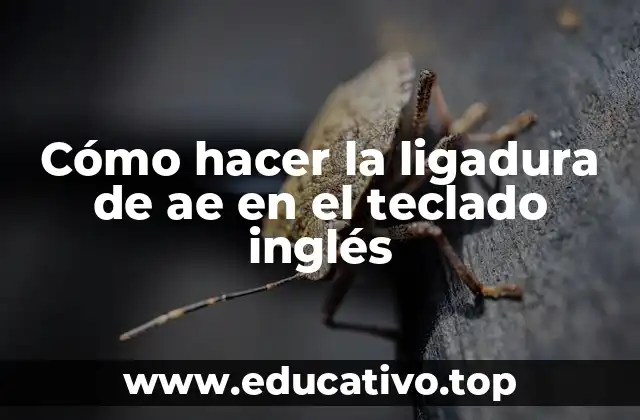 ¿Qué es la ligadura de ae y para qué sirve?