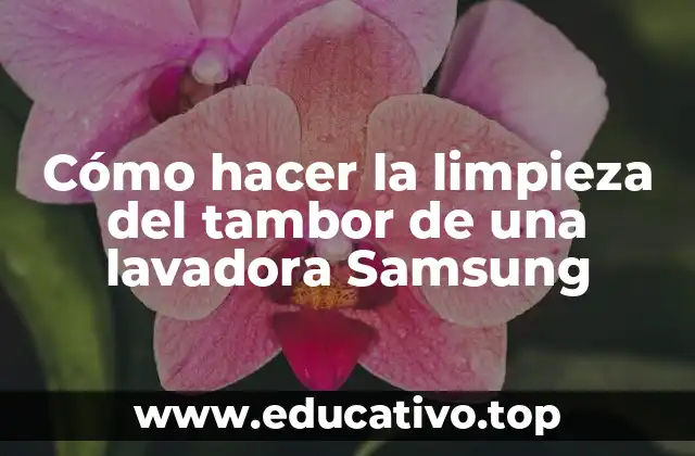 Cómo hacer la limpieza del tambor de una lavadora Samsung