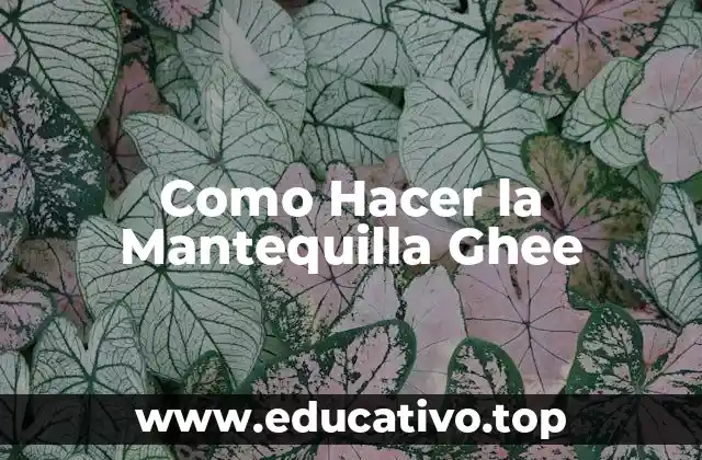 Como Hacer la Mantequilla Ghee
