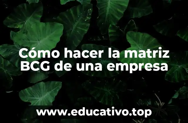 Cómo hacer la matriz BCG de una empresa