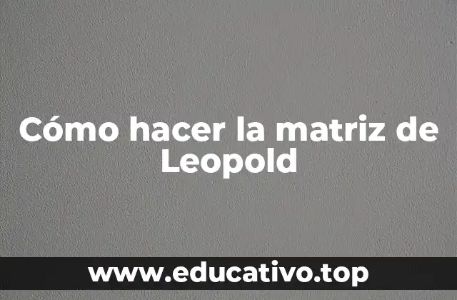 Cómo hacer la matriz de Leopold
