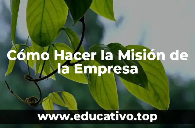 Cómo Hacer la Misión de la Empresa