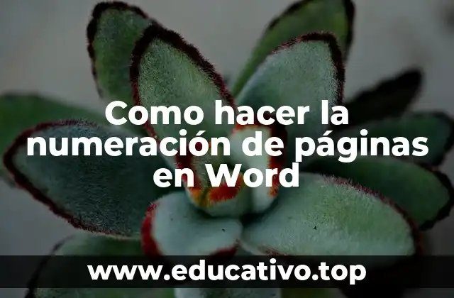 Como hacer la numeración de páginas en Word