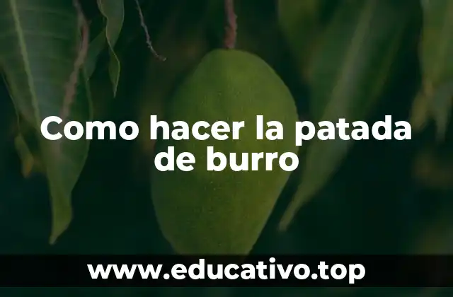 Como hacer la patada de burro