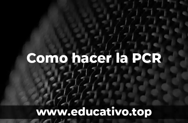 Como hacer la PCR