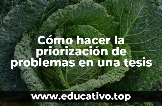Cómo hacer la priorización de problemas en una tesis