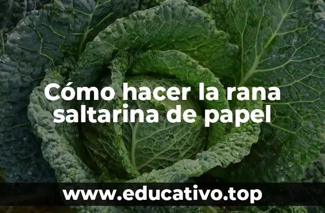 Cómo hacer la rana saltarina de papel