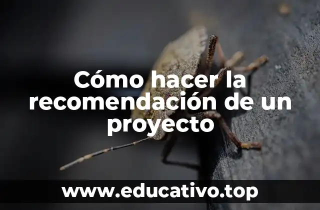 Cómo hacer la recomendación de un proyecto