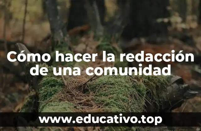 Cómo hacer la redacción de una comunidad