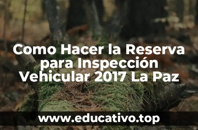 Como Hacer la Reserva para Inspección Vehicular 2017 La Paz