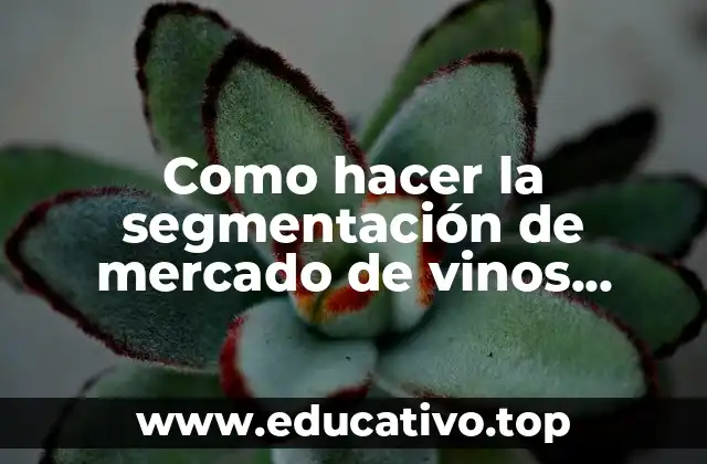 Como hacer la segmentación de mercado de vinos Kohlberg