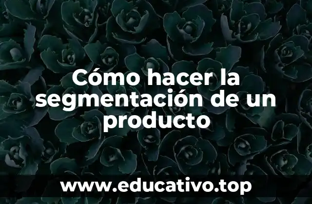 Cómo hacer la segmentación de un producto