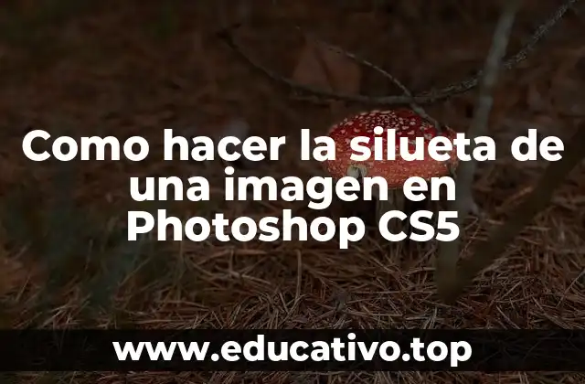 Como hacer la silueta de una imagen en Photoshop CS5