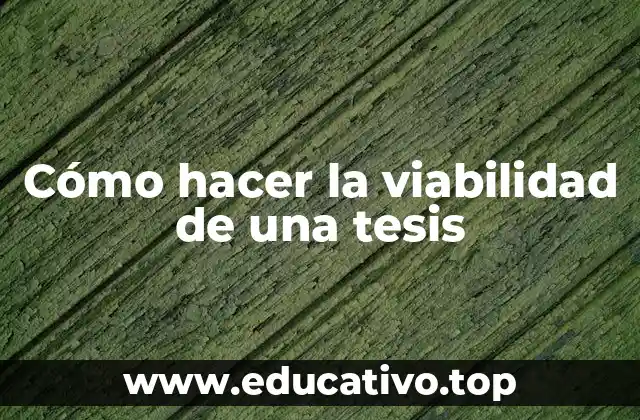 Cómo hacer la viabilidad de una tesis