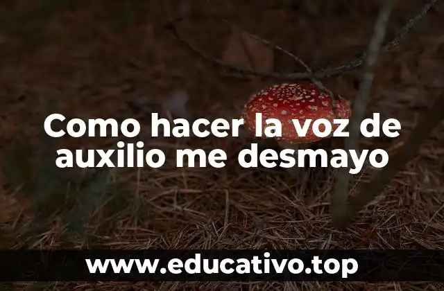 Como hacer la voz de auxilio me desmayo