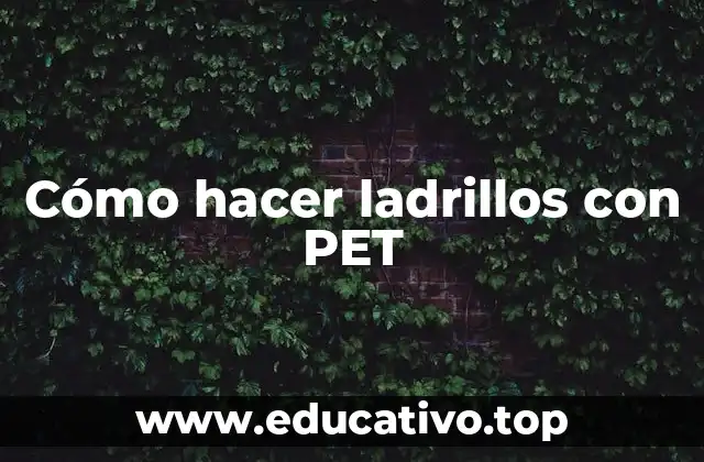 Cómo hacer ladrillos con PET