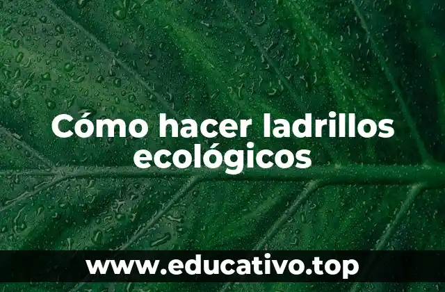 Cómo hacer ladrillos ecológicos