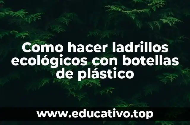 Como hacer ladrillos ecológicos con botellas de plástico