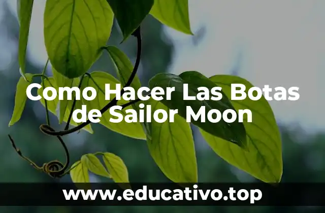 Como Hacer Las Botas de Sailor Moon