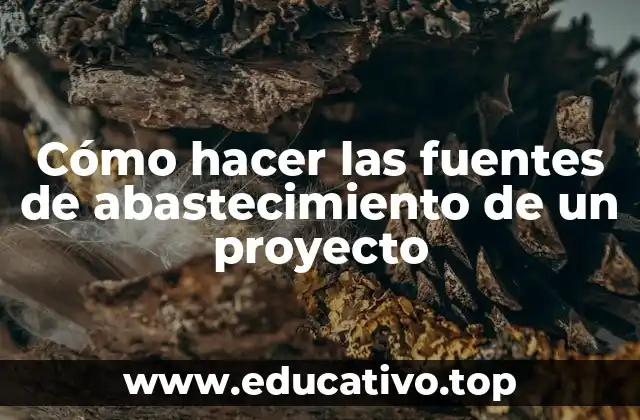 Cómo hacer las fuentes de abastecimiento de un proyecto