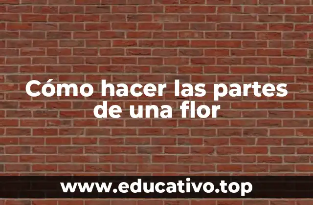 Cómo hacer las partes de una flor