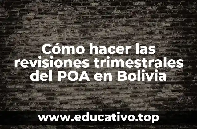 Cómo hacer las revisiones trimestrales del POA en Bolivia
