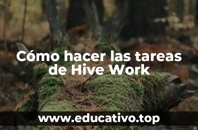 ¿Qué son las tareas de Hive Work?