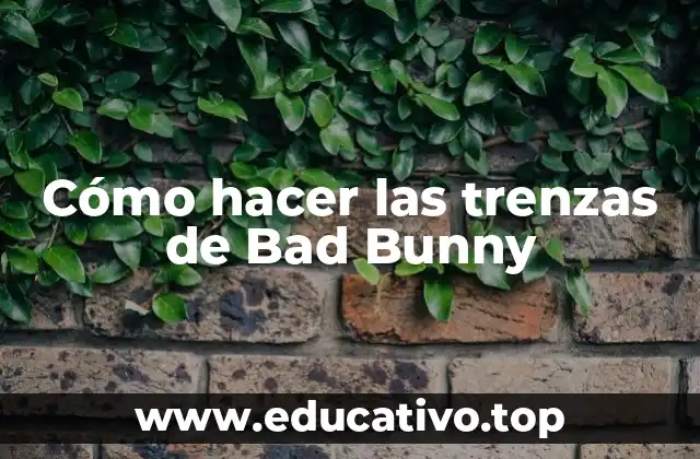 Cómo hacer las trenzas de Bad Bunny