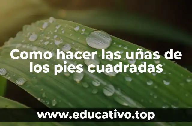 Como hacer las uñas de los pies cuadradas