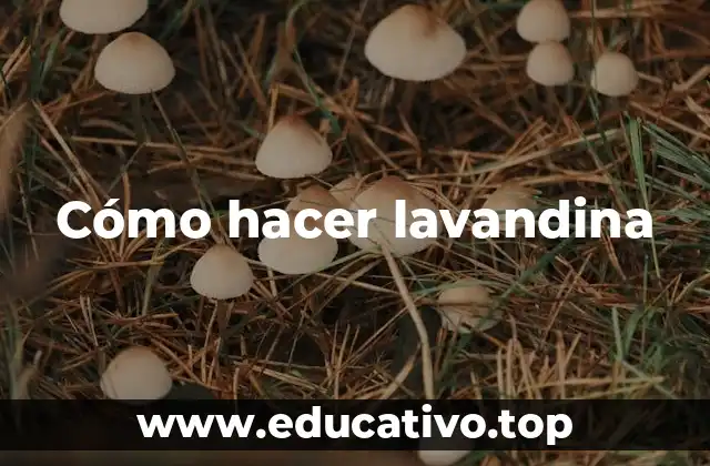 Cómo hacer lavandina