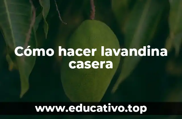 Cómo hacer lavandina casera