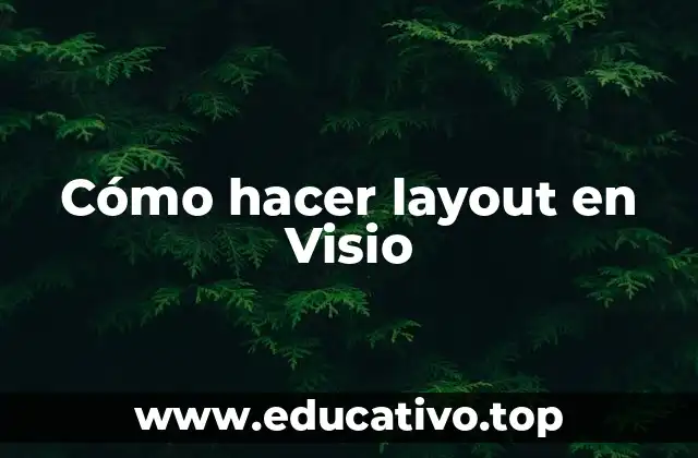 Cómo hacer layout en Visio