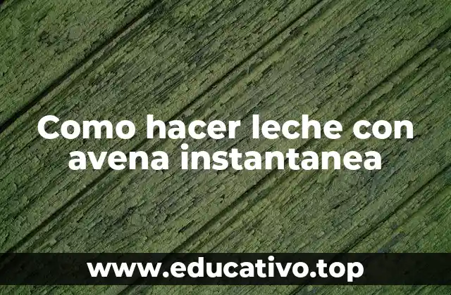 Como hacer leche con avena instantanea