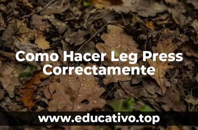 Como Hacer Leg Press Correctamente