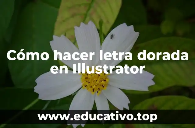 Cómo hacer letra dorada en Illustrator